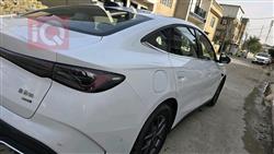 بي واي دي سيل 6